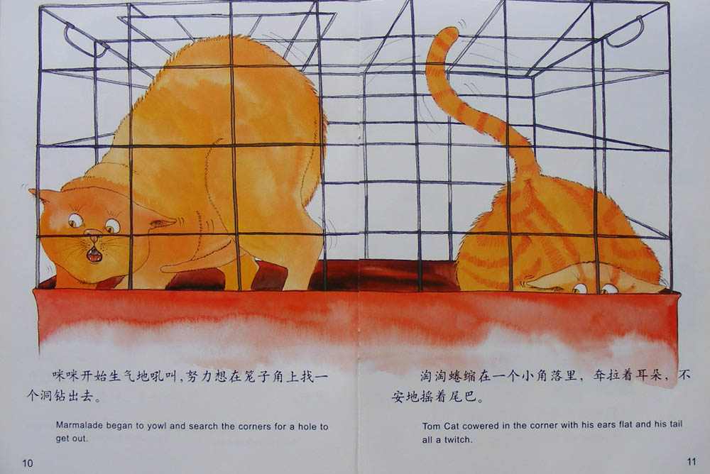 糟糕的宠物日 (07),绘本,绘本故事,绘本阅读,故事书,童书,图画书,课外阅读